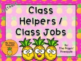 Class Helpers/Jobs in Tropical Pineapple Theme EDITABLE