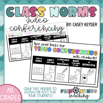 Preview of Class Norms for Video Conferencing **FREEBIE** 