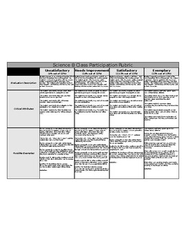 Preview of Class Participation Rubric for Amplify Science