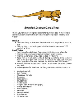 Bearded Dragon Care Sheet