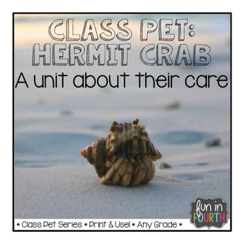 Preview of Hermit Crabs Articles, Activities, and Care Plans