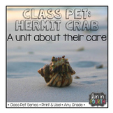 Hermit Crabs Articles, Activities, and Care Plans