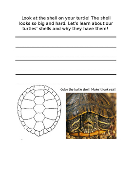 Preview of Class Pet Journal on the Red-Eared Slider Turtle
