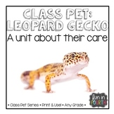 Leopard Gecko Articles, Activities, and Care Plans