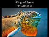 Class Reptilia (Reptiles) Unit PowerPoint Presentation