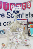 Class Skeleton Sign and Labels