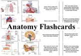 Classical Conversations Challenge A Science Anatomy Flashcards