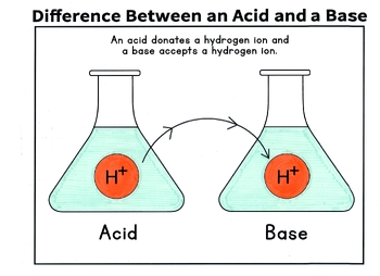 Preview of Classical Conversations Cycle 3 Week 19 Science: How to Draw an Acid & a Base