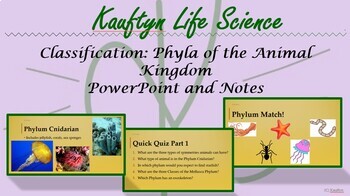 Preview of Classification: Animal Phyla - Power Point and Notes
