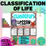 Classification Cladogram Notes Activity and Slides Life Sc