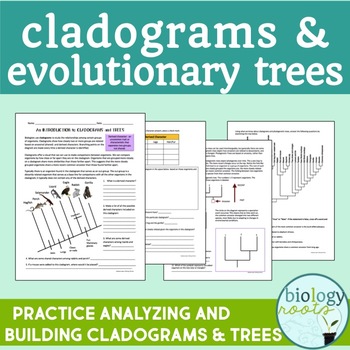 Preview of Classification Cladograms and Trees Activity