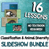 Classification & Diversity of Animals: SLIDESHOW BUNDLE!