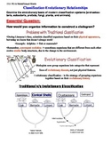 Animals; Classification of Animals - Evolutionary