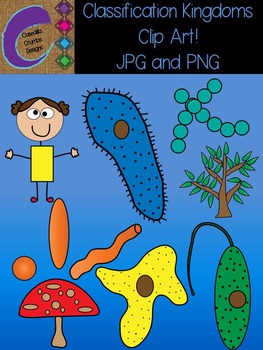 Preview of Classification Kingdoms Clip Art Pictures Science JPG and PNG FREE