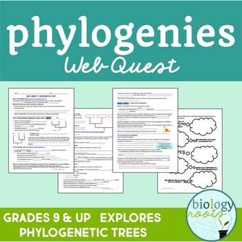 Preview of Classification Phylogeny and Phylogenetic Trees Web Quest
