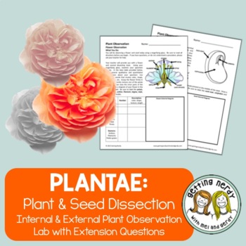 Preview of Flower Dissection - Distance Learning
