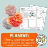 Flower Dissection - Distance Learning