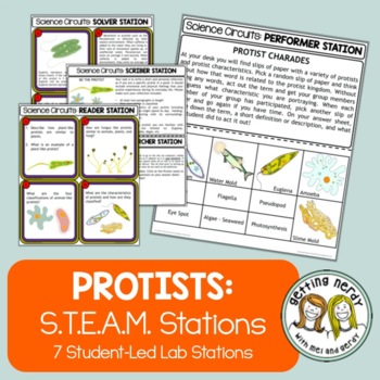Preview of Protist Classification - Science Centers / Lab Stations