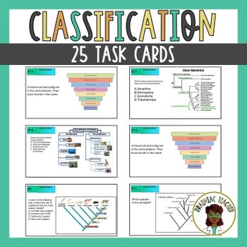 Classification: Taxonomy, Cladogram, Dichotomous Key, Phylogenetic Tree