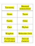 Classification/Taxonomy Sort