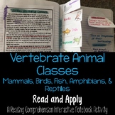 Classification: Vertebrate Animal Classes Read and Apply I