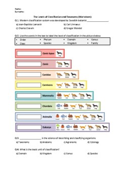 Preview of Classification and Taxonomy - Worksheet | Easel Activity & Printable PDF