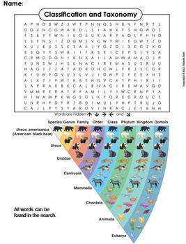 classification and taxonomy activity word search worksheet by science spot