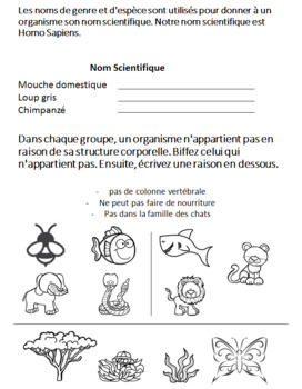 Classification Des Etres Vivants Science Grade 6 French Immersion