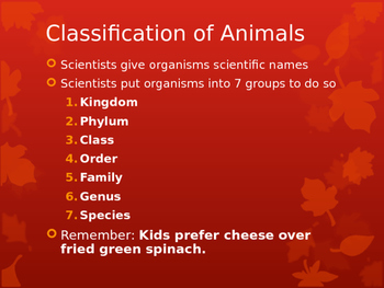 Preview of Classification of Animals PowerPoint Presentation