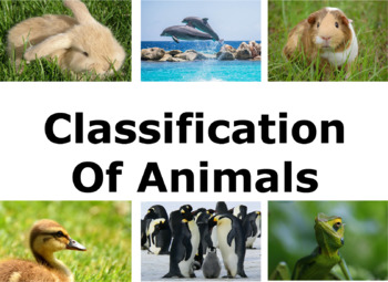Preview of Classification of Animals Slideshow (Vertebrates)