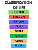 Classification of Life Chart