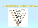 Classification of Living Things