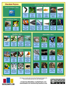 Classification of Living Things Chart by UsefulCharts | TpT