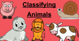 Classification of Living Things Pratice