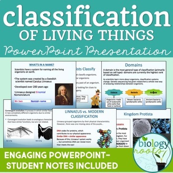 Preview of Classification - PowerPoint Notes