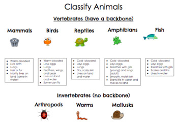 Preview of Classify Animals