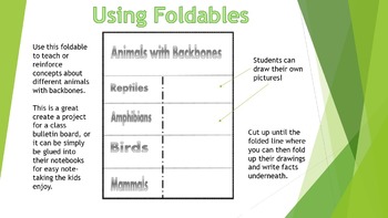 Preview of Classify Animals Foldable