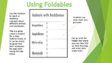 Classify Animals Foldable
