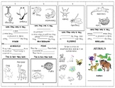 ANIMAL CLASSIFICATION Booklet