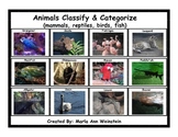 Classify & Categorize Animals (mammals, reptiles, birds, a