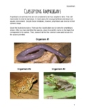 Classifying Amphibians Using a Dichotomous Key