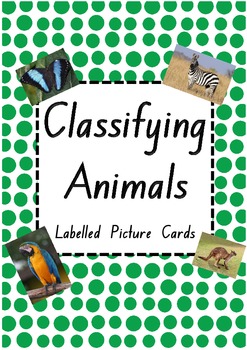 Preview of Animal Cards - 58 Labelled Picture Cards!