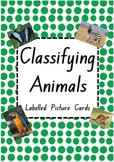 Animal Cards - 58 Labelled Picture Cards!