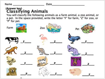 classifying animals assessment farm zoo or pet by