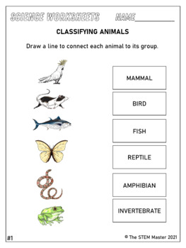 classifying animals grade 1 life science worksheets by the stem master