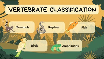 Preview of Classifying Animals Lesson (Includes 3 academic levels)