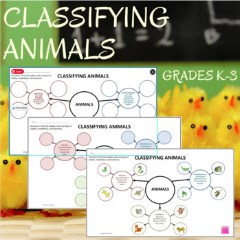 Preview of Classifying Animals Science Graphic Organizer