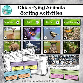 Preview of Classifying Animals Sorting Activities