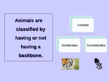 Classifying Animals: Vertebrates & Invertebrates by Christie Dyal