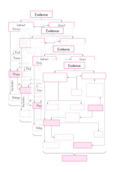 Preview of Classifying Evidence Concept Map